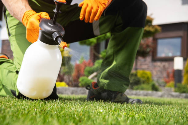 Seasonal Pest Control in Prescott Valley, AZ